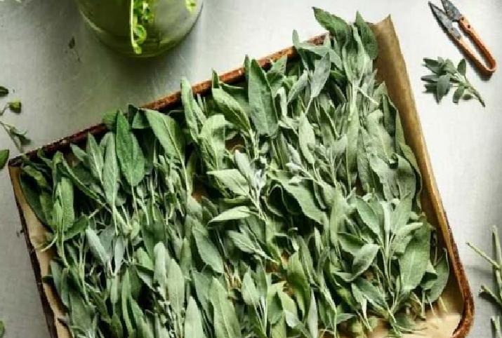 Buzdolabı Üstündeki Boşlukları Mutlu ve İşlevsel Depolama Alanına Dönüştürün