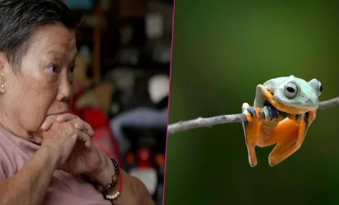 Çin’de Yaşlı Kadının Karşılaştığı Tehlikeli Deneme: Canlı Kurbağa Yutmanın Bedeli