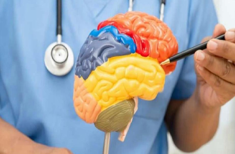 Dünya İnme Günü: Erken Müdahale ve Yaşam Tarzı Değişiklikleriyle İnme Riski Nasıl Azaltılır?