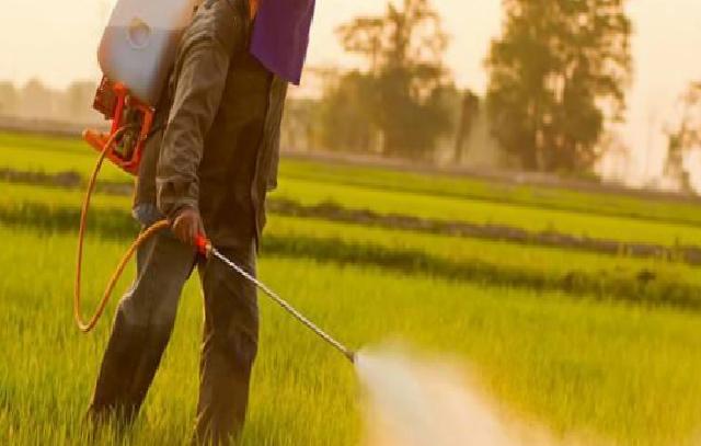 Gıda Güvenliği ve Sağlıklı Tercihler: Uzman Görüşleriyle Doğal Besinlerin Önemi