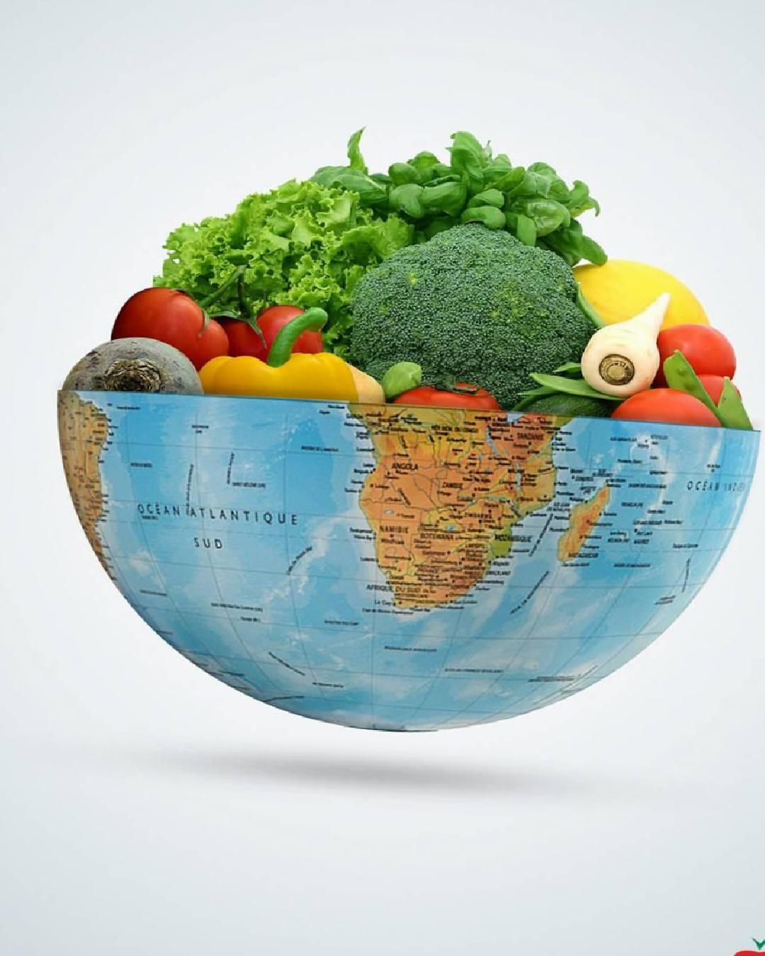 Gıda Okuryazarlığı ile Dengeli Beslenmeye Yolculuk: Dünya Gıda Günü’nde Vizyon