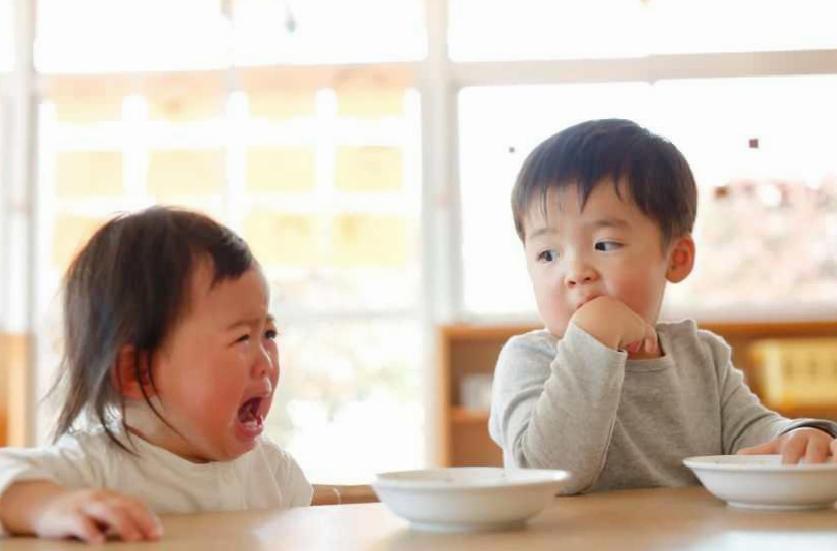 Kardeş Kıskançlığına Zamanında ve Nazikçe Yaklaşım: Ebeveynler İçin Rehber