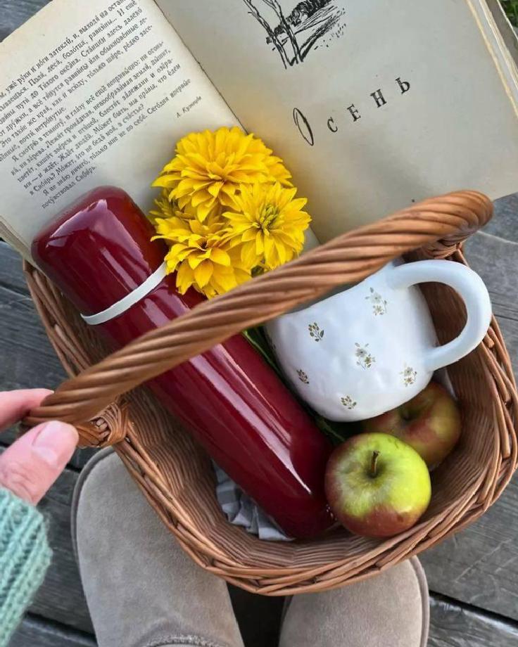 Kullanışlı Termos Seçiminin Sırları: Malzeme, Yalıtım ve Kapak Tasarımı