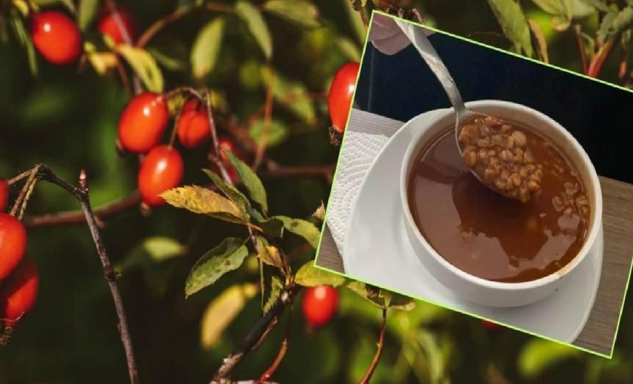 Kuşburnu Yemeği: Doğanın Bağışıklık Gücü ve Anadolu Mutfağındaki Özel Yolculuğu