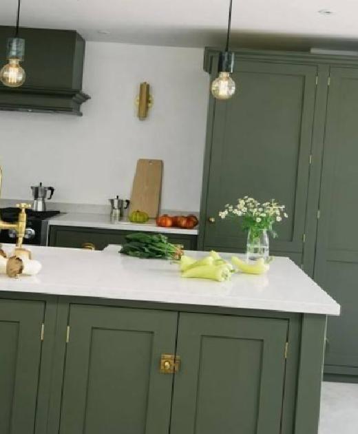 Midnight Garden: Nature’s Calm Green as 2026’s Color Highlight