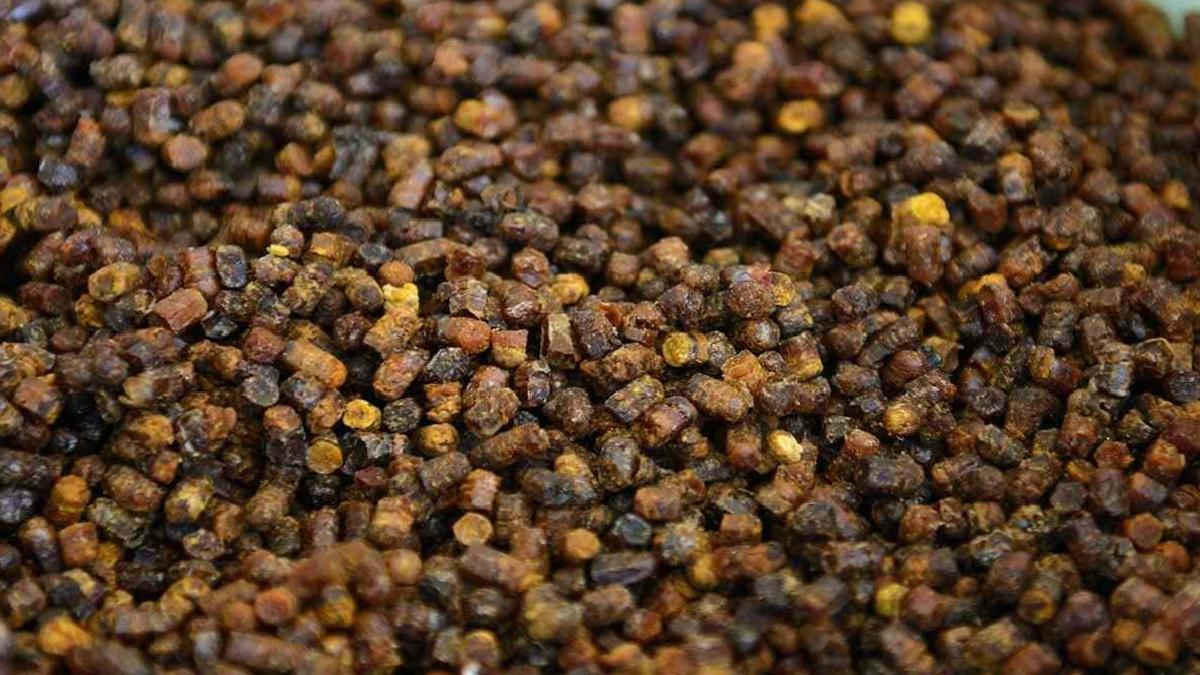 Propolis: Arıların Bitki Özüyle Oluşturduğu Doğal Koruyucu Takviye