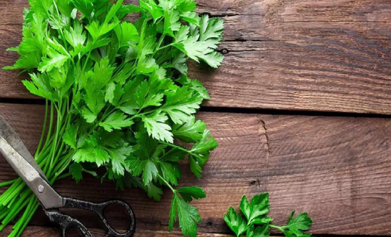 Sallama Çay ile Yeşillikleri Tazelikte Tutmanın Pratik Yolu