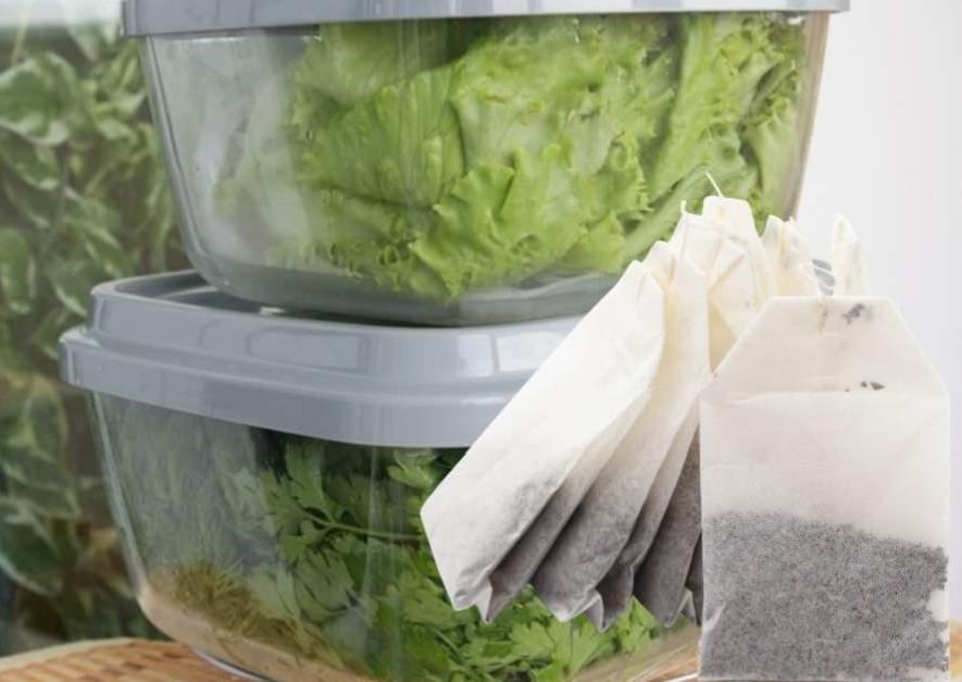 Sallama Çay ile Yeşillikleri Tazelikte Tutmanın Pratik Yolu