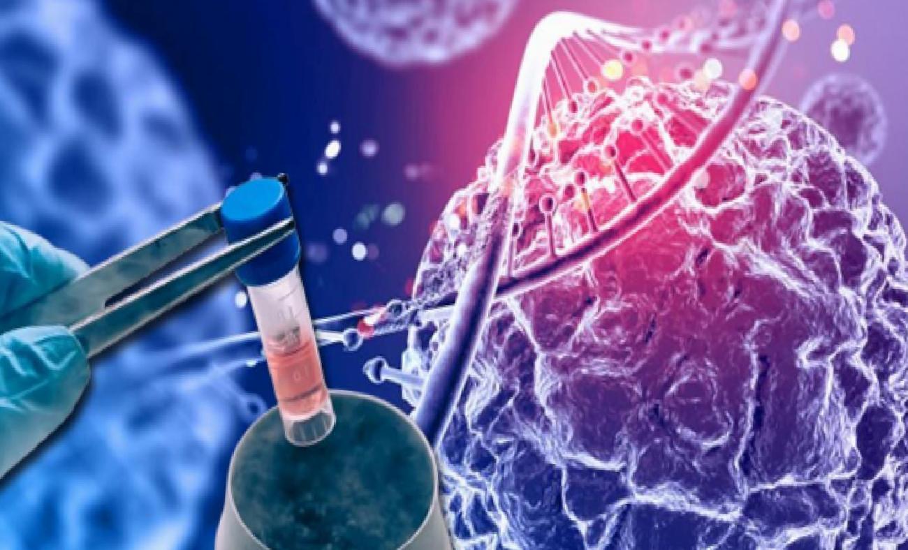 Hayat Bağışında Yeni Ufuklar: Kök Hücre Naklinin Güvenli ve Hayat Kurtarıcı Yolculuğu