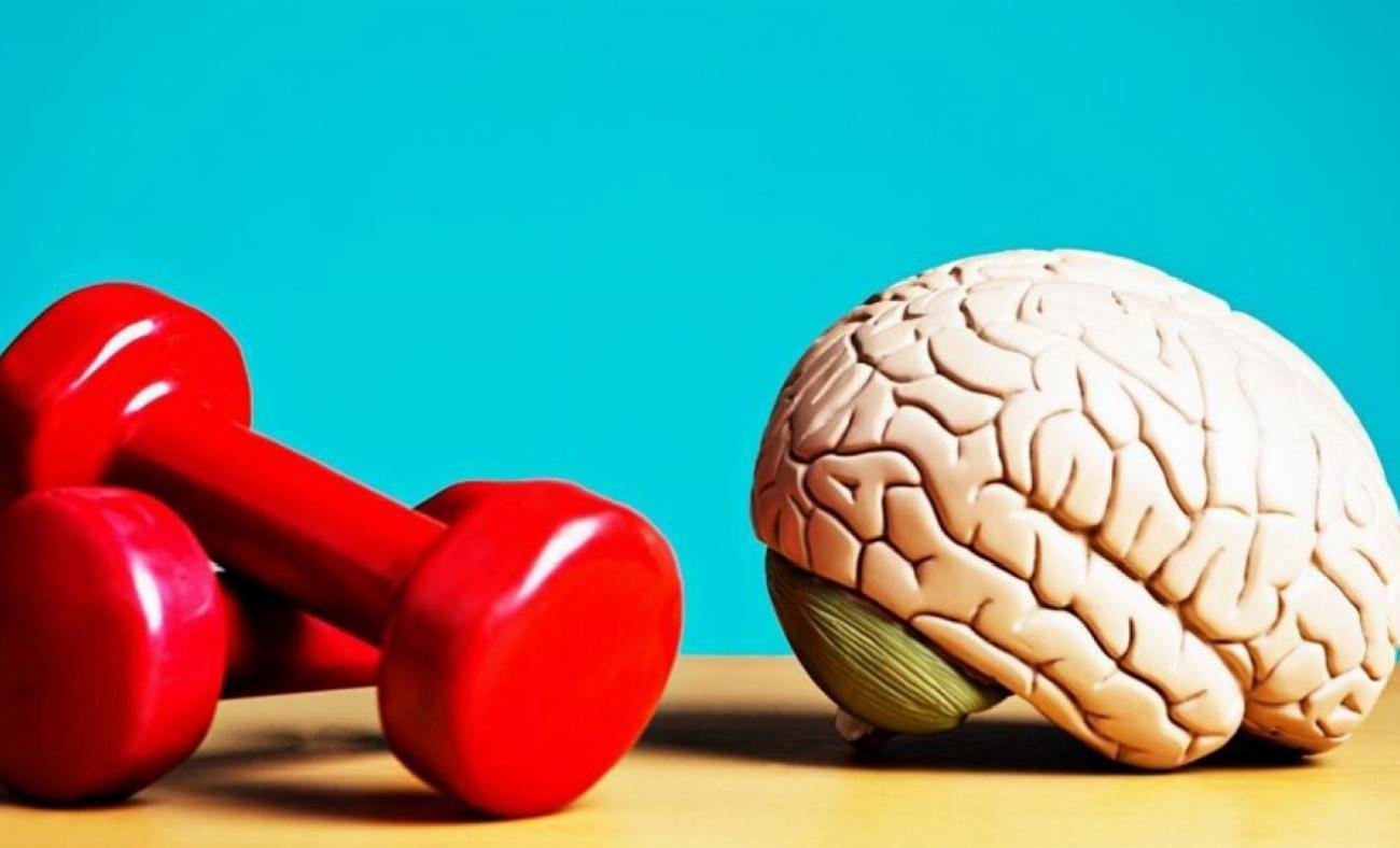 Hareketsizliğin Zihin Üzerindeki Sessiz Tehlikesi ve Egzersizin Koruyucu Etkisi