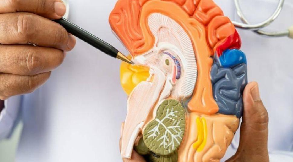 NU-9: Alzheimer’a Karşı Yeni Umut Işığı – Erken Müdahalenin Anahtar Rolü