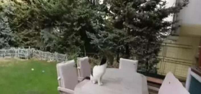 Pazar Gezmesi: Muazzez Ersoy’un Ofisinde Yeşil Bahçe ve Şık Detaylar