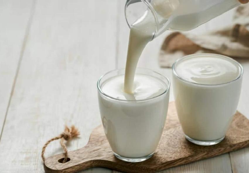 Bağırsak Sağlığı ve Çocuk Bağışıklığı: Geleneksel Besinler ve Dış Koruyucu Adımlar