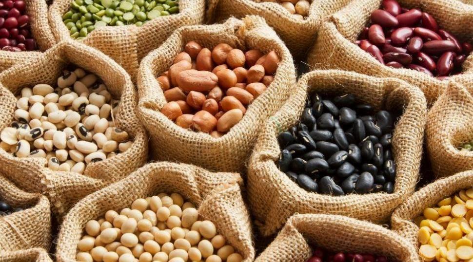 Daha Uzun ve Kaliteli Yaşam İçin En Kritik Besin Grupları: Bağışıklık ve Zihinsel Panelleri Destekleyen Seçimler