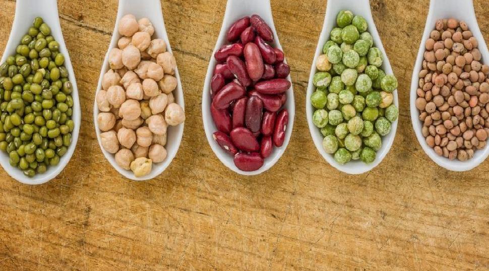 Daha Uzun ve Kaliteli Yaşam İçin En Kritik Besin Grupları: Bağışıklık ve Zihinsel Panelleri Destekleyen Seçimler