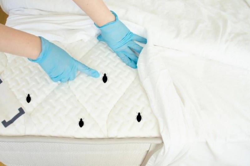 Ev Tozu Akarları ve Çocuk Sağlığı: Soğuk Havalarda Alerji Riski ve Üç Basamaklı Tedavi Yaklaşımı