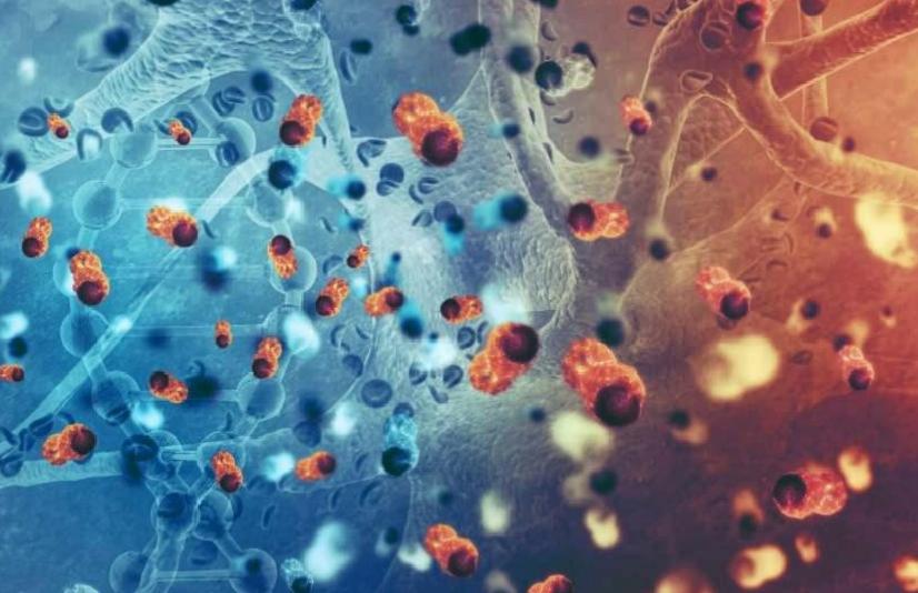 Farkında Ol, Önlemini Al: Rahim Ağzı Kanseriyle Mücadelede Multidisipliner Yaklaşım