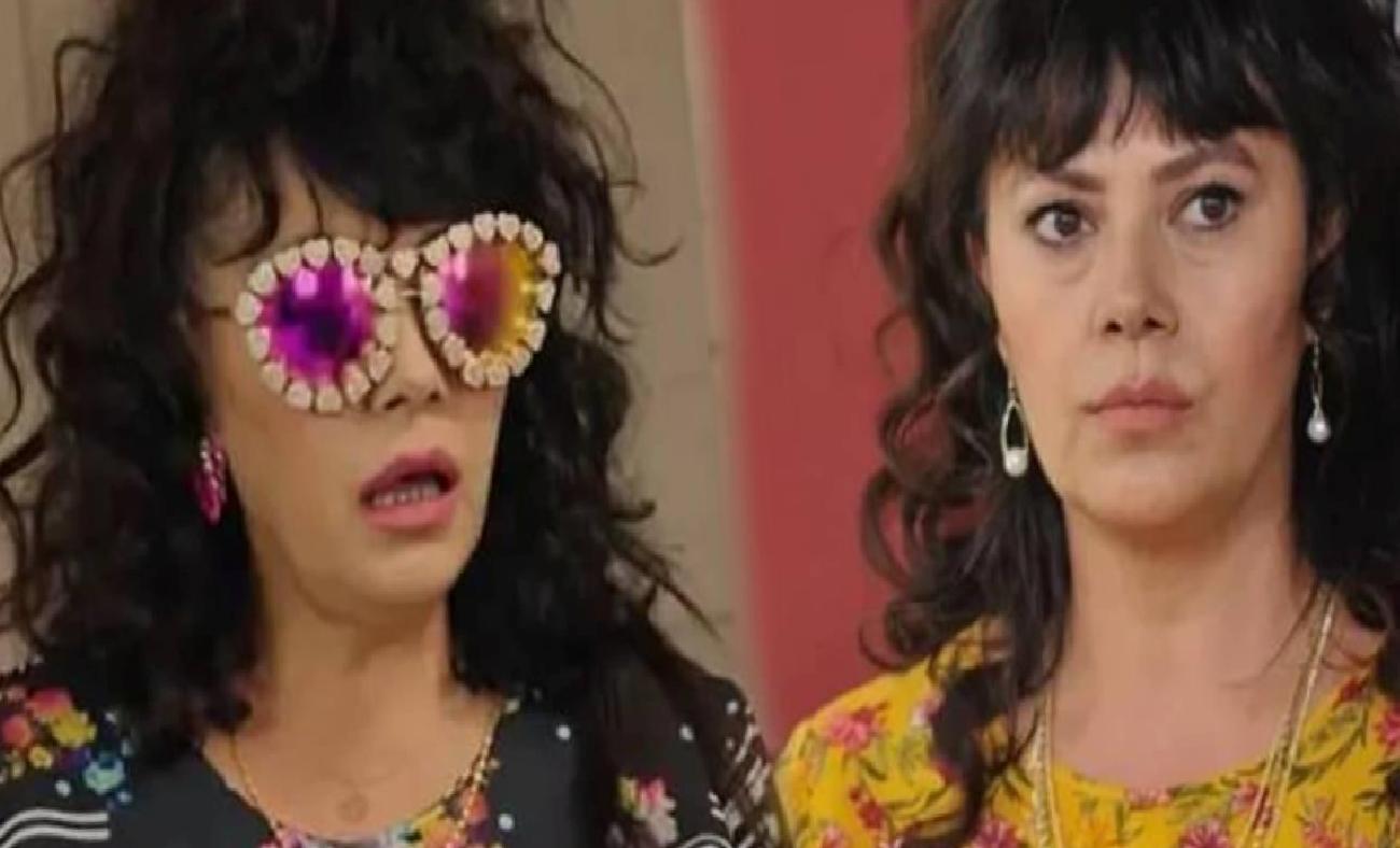 Mehtap Bayri’nin Yeni Yolu: Zeytincilikte Profesyonel Yolculuk