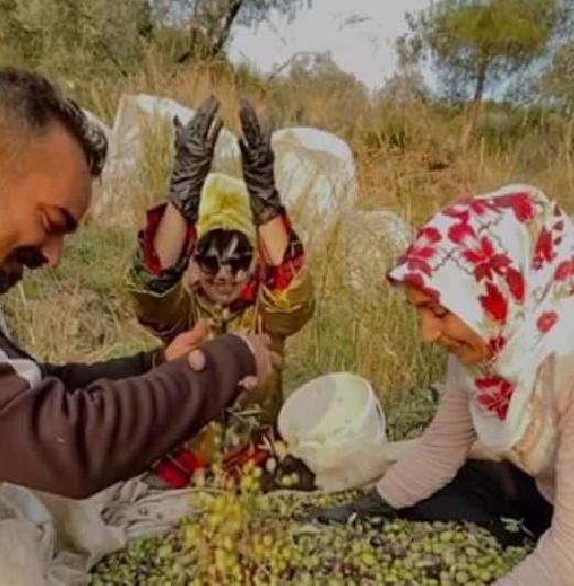 Mehtap Bayri’nin Yeni Yolu: Zeytincilikte Profesyonel Yolculuk