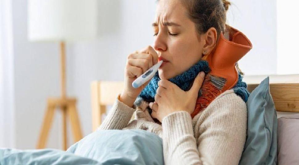 Nipah Virüsü: Belirtiler, Bulaşma Yolları ve Türkiye için Risk Değerlendirmesi