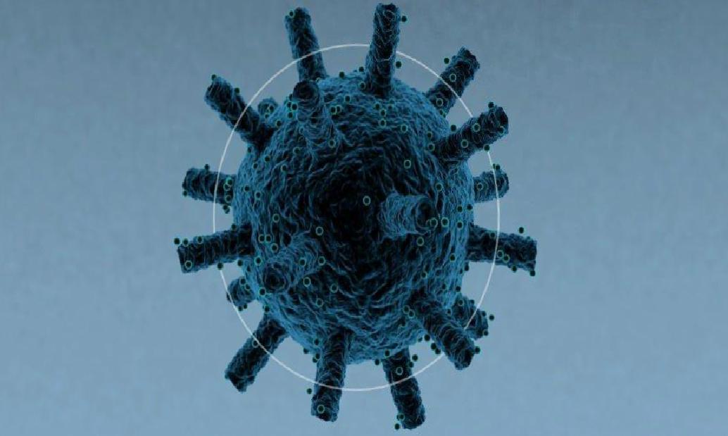 Nipah Virüsü: Belirtiler, Bulaşma Yolları ve Türkiye için Risk Değerlendirmesi