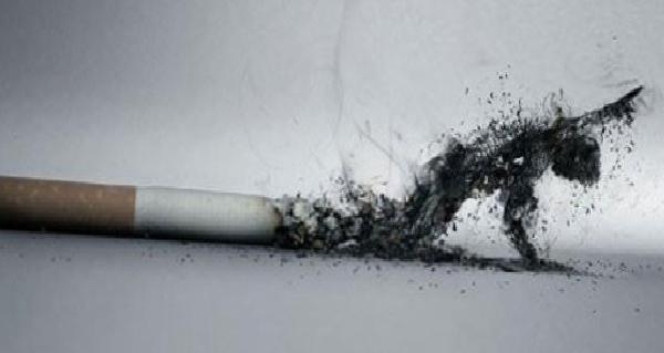 9 Şubat Dünya Sigarayı Bırakma Günü: Sigaranın Hayatımızdaki Felaketleri ve Erken Bırakmanın Önemi