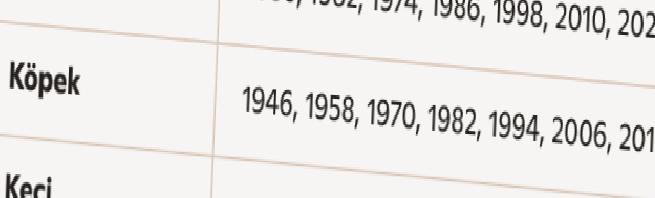 Ateş Atı Yılı: Finansal Fırsatlarla Dolu Yeni Başlangıçlar ve Üç Burcun Yol Haritası
