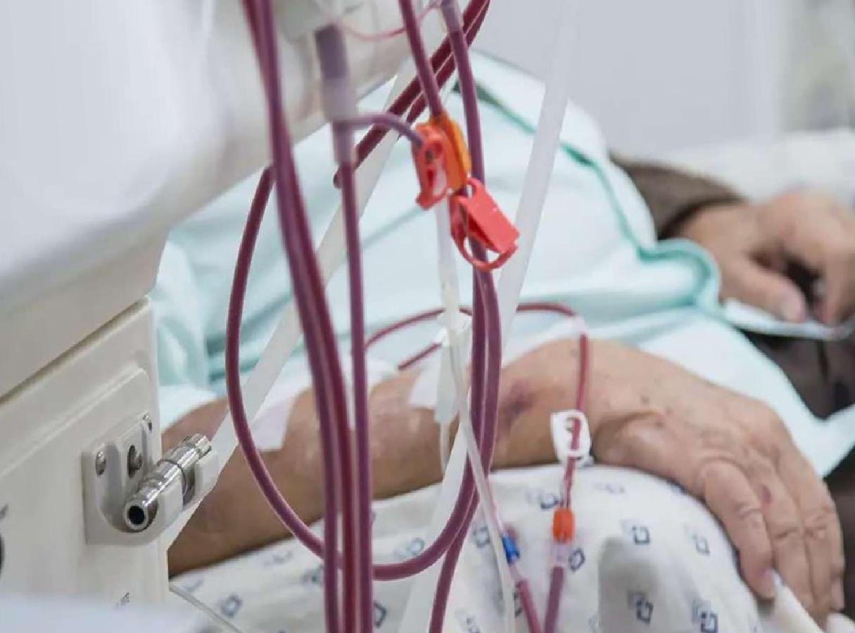 Böbrek Hastalarında Beslenme: Kişiye Özel Diyetlerle Sıvı, Tuz ve Protein Dengesi