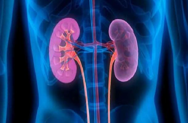 Böbrek Hastalarında Beslenme: Kişiye Özel Diyetlerle Sıvı, Tuz ve Protein Dengesi