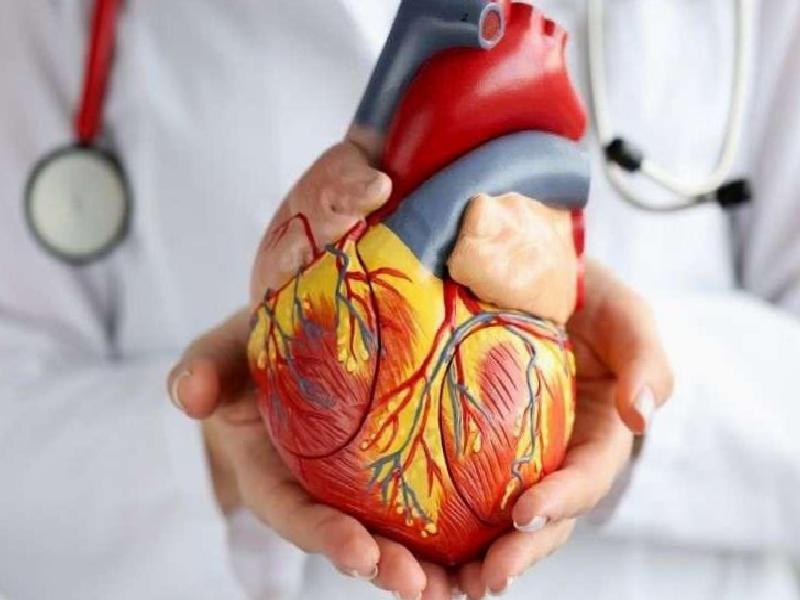 Yapay Kalp Destek Sistemi ile Hayata Yeniden Tutunan Burhan Yılmaz: İleri Evre Kalp Yetmezliğinde Umut Işığı