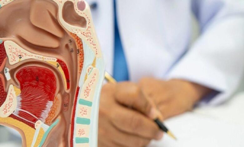 Cross-section anatomical model of the head showing ear and throat structures, with a clinician writing notes in the background.