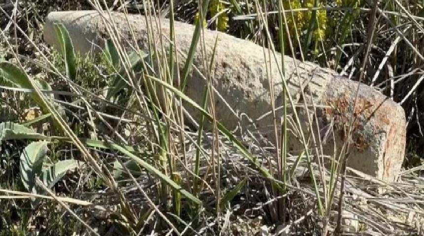 Ayaş’ta Mantardan Patlamamış Top Mermisi Uyarısı: Kontrol Edildi