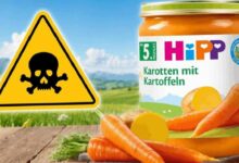 HiPP carrot-and-potato baby food jar on a wooden surface with fresh carrots, and a yellow skull-and-crossbones warning sign in a countryside background.