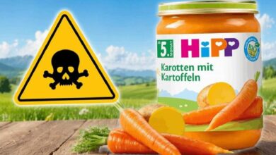 HiPP carrot-and-potato baby food jar on a wooden surface with fresh carrots, and a yellow skull-and-crossbones warning sign in a countryside background.