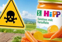 Yellow caution triangle with skull and crossbones beside a HiPP carrot-and-potato baby food jar in a rural outdoor setting.
