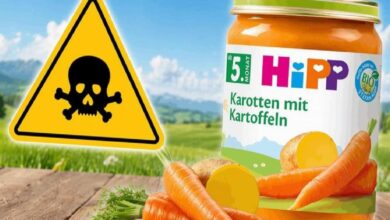 Yellow caution triangle with skull and crossbones beside a HiPP carrot-and-potato baby food jar in a rural outdoor setting.