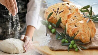 Hands kneading dough on a floured surface next to a rustic olive bread studded with olives and olive branches on a wooden board.