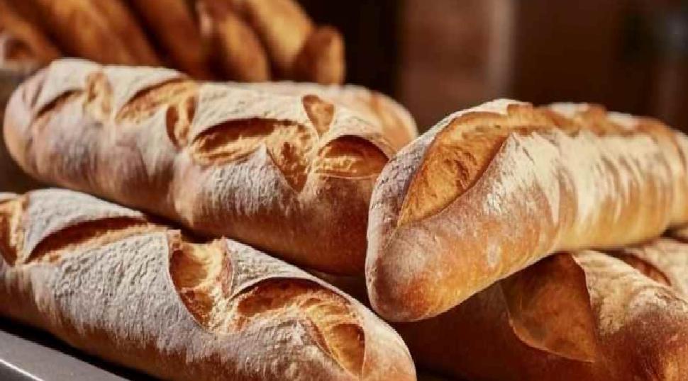 Tam Tahıllı Ekmekler: Çavdar mı, Tam Buğday mı? Sağlık İçin En Doğru Seçimler