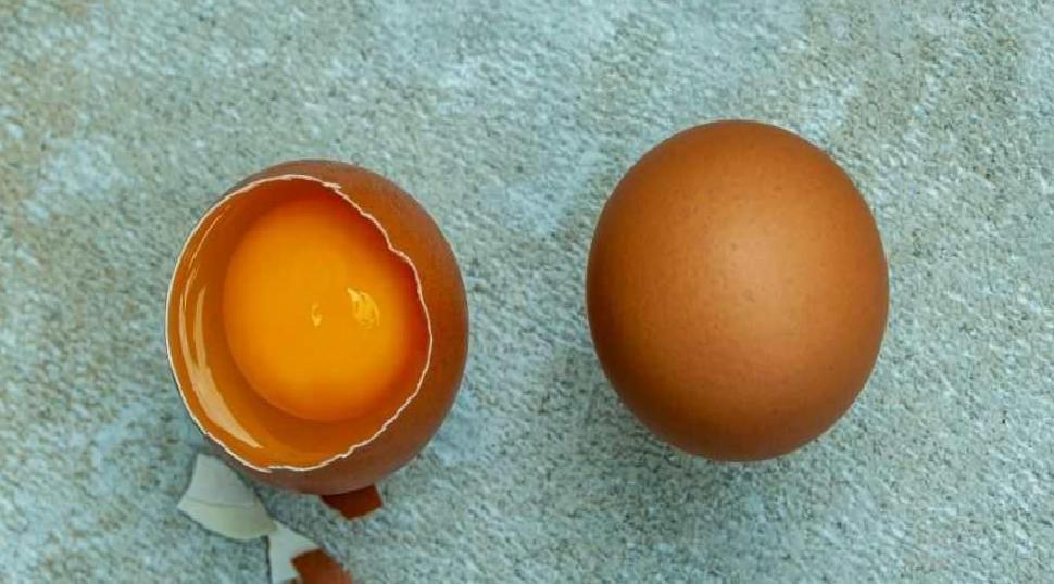 Yumurta Kabuğu Tüketimi: Kalsiyum Desteği ve Sağlık Üzerindeki Tartışmalar