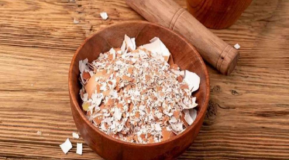 Yumurta Kabuğu Tüketimi: Kalsiyum Desteği ve Sağlık Üzerindeki Tartışmalar