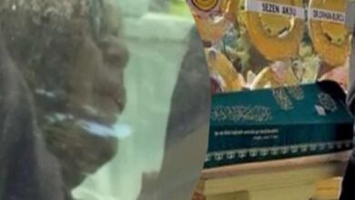 Person standing near a grocery-store shelf with cereal boxes in the background, viewed through a glass surface; the image is blurry and partially obscured by a reflection.