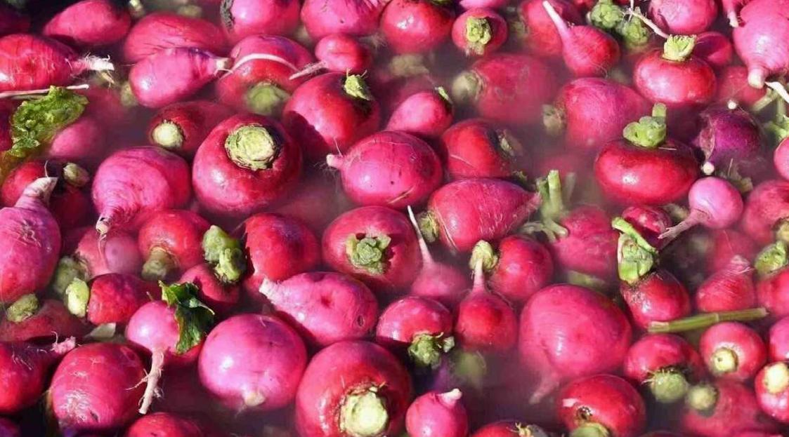 Turpun Şifa Dolu Yolculuğu: Bağışıklık ve Sindirim Dostu Kök Sebze