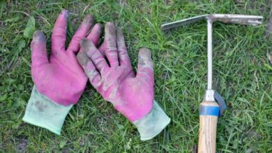 Pink muddy work gloves lying on grass with a hammer beside them, suggesting yard work or gardening.