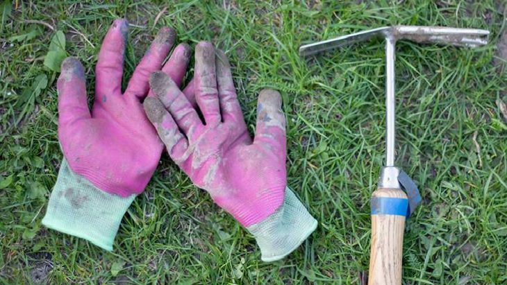 Pink muddy work gloves lying on grass with a hammer beside them, suggesting yard work or gardening.