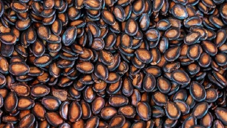 Close-up of glossy dark brown roasted coffee beans.
