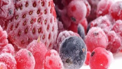 Close-up of frosty berries: red raspberries and a blue-black blueberry with a large strawberry in the background, all dusted with frost.