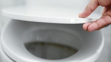 Close-up of a hand lifting a white toilet seat lid above a toilet bowl.