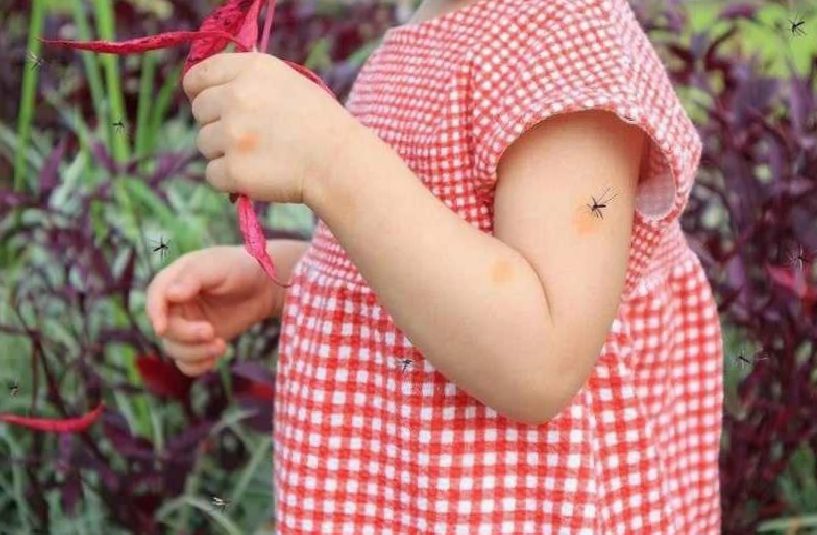 Bebekleri Sivrisinek Isırıklarıyla Baş Etmenin Doğal ve Güvenli Yolları