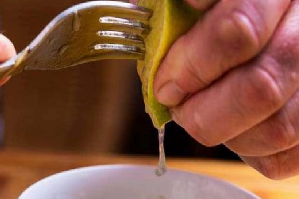 Limon Suyu İçin Daha Fazla Verim: Pratik Yöntemler ve İpuçları