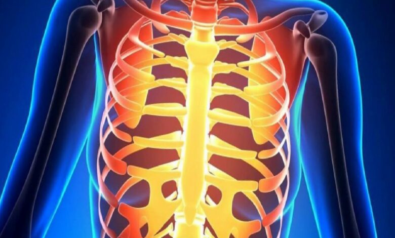 Color-enhanced illustration of a human torso skeleton focusing on the ribcage and spine with warm highlights.